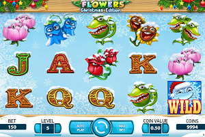 Flowers : Christmas Edition