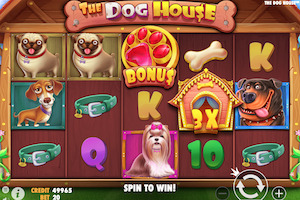 The Dog House