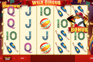 Wild Circus