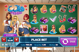 Wild School