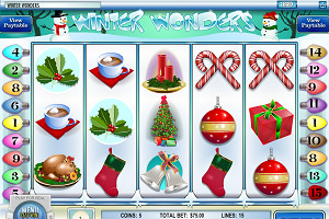 Winter Wonders