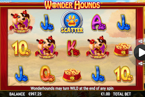 Wonder Hounds